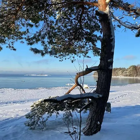 Nynorrgad Hanko